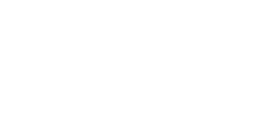 be.INSANOS